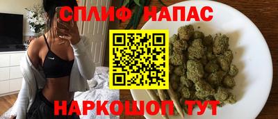 сатива Можга