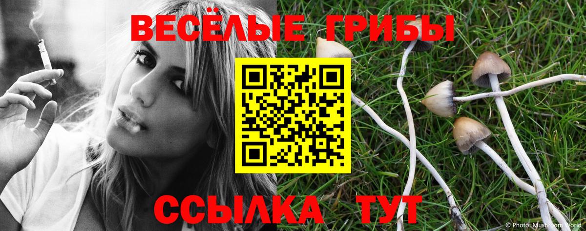 Галлюциногенные грибы прущие грибы Усть-Джегута
